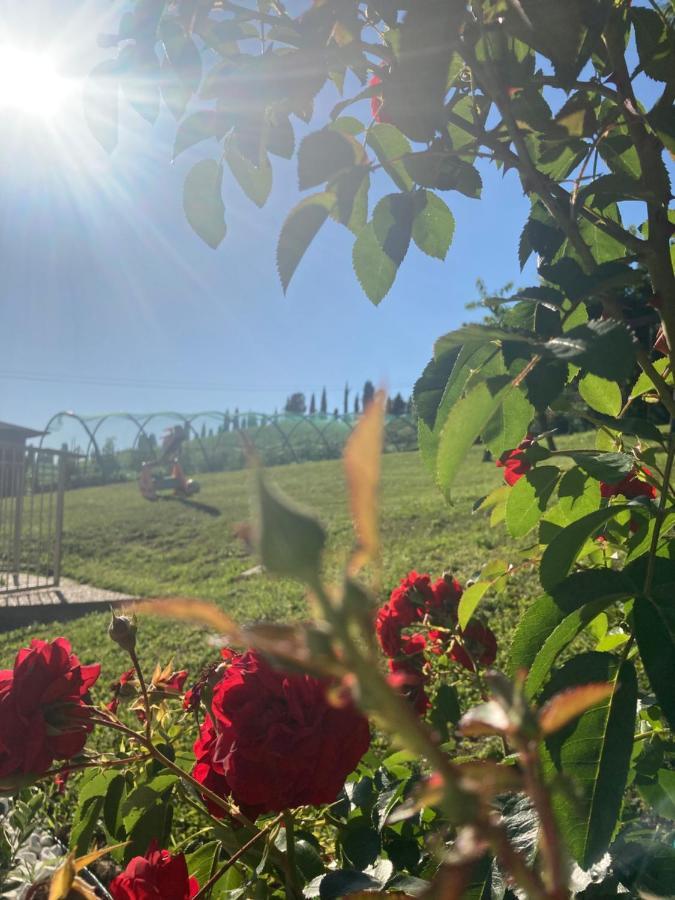 B&B” La Tezza” Torre de' Roveri Eksteriør bilde